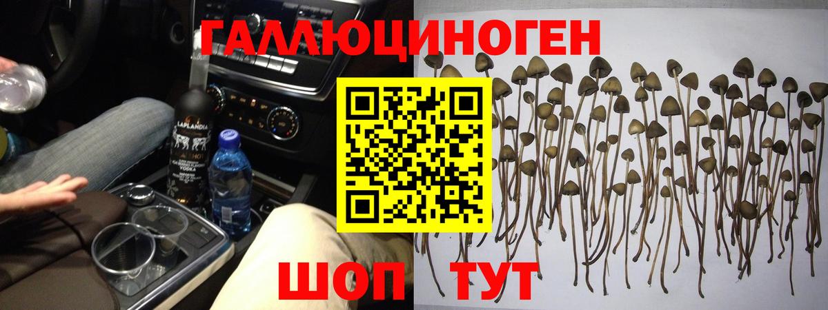 Псилоцибиновые грибы MAGIC MUSHROOMS  купить закладку  Галлюциногенные грибы Psilocybine cubensis  Мытищи  Вход с VPN 